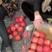 【大量现货】精品红富士苹果条红全红苹果可对接商超市场档口