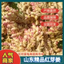 【热卖中】精品生姜鲜姜红芽姜规格齐全库存量大欢迎实地考察