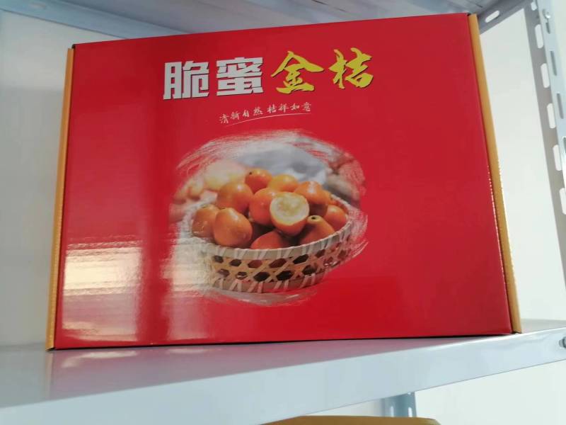 【包邮】广西脆蜜金桔礼盒装现摘现发品质保证三斤装欢迎下单
