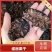 海南富硒诺丽果干茶厂家大量有货欢迎老板电话联系