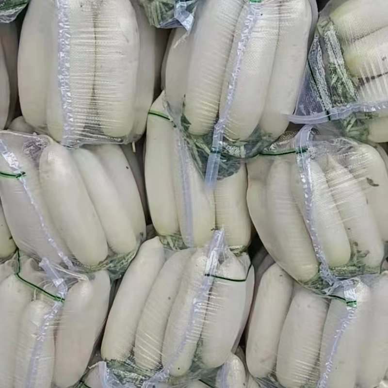 白萝卜大量现货，电商货，市场货，加工厂货，欢迎来电