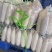 白萝卜大量现货，电商货，市场货，加工厂货，欢迎来电