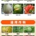 颗粒硼水溶硼小麦玉米果树保花保果底施通用硼肥微量元素