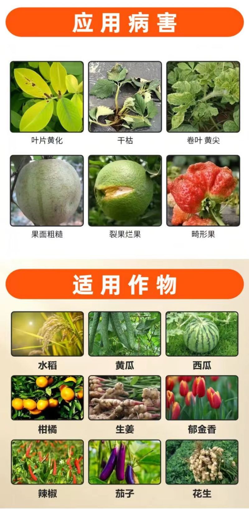 颗粒硼水溶硼小麦玉米果树保花保果底施通用硼肥微量元素
