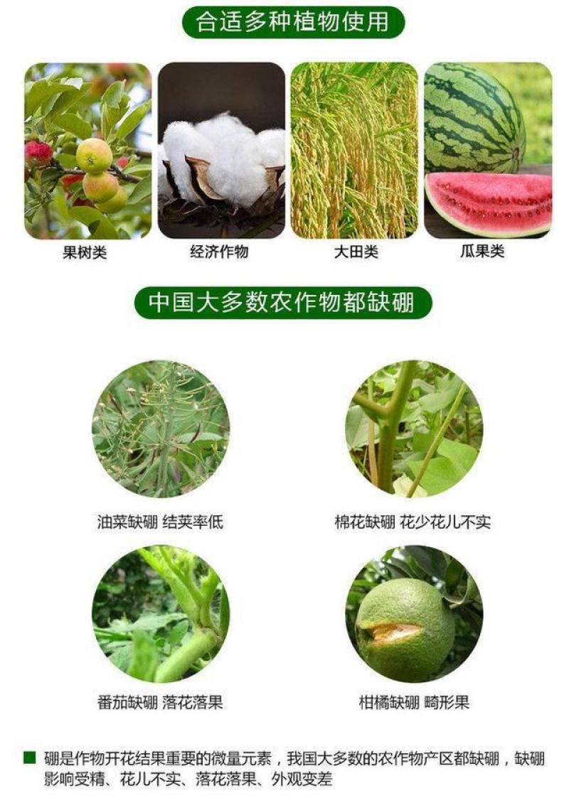 流体硼微量元素硼肥叶面肥糖醇螯合硼颗粒硼钼肥促花保果