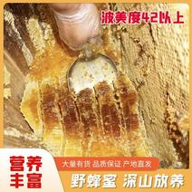 【推荐】广西苍梧野生蜂蜜，深山放养，营养丰富，支持视频看货