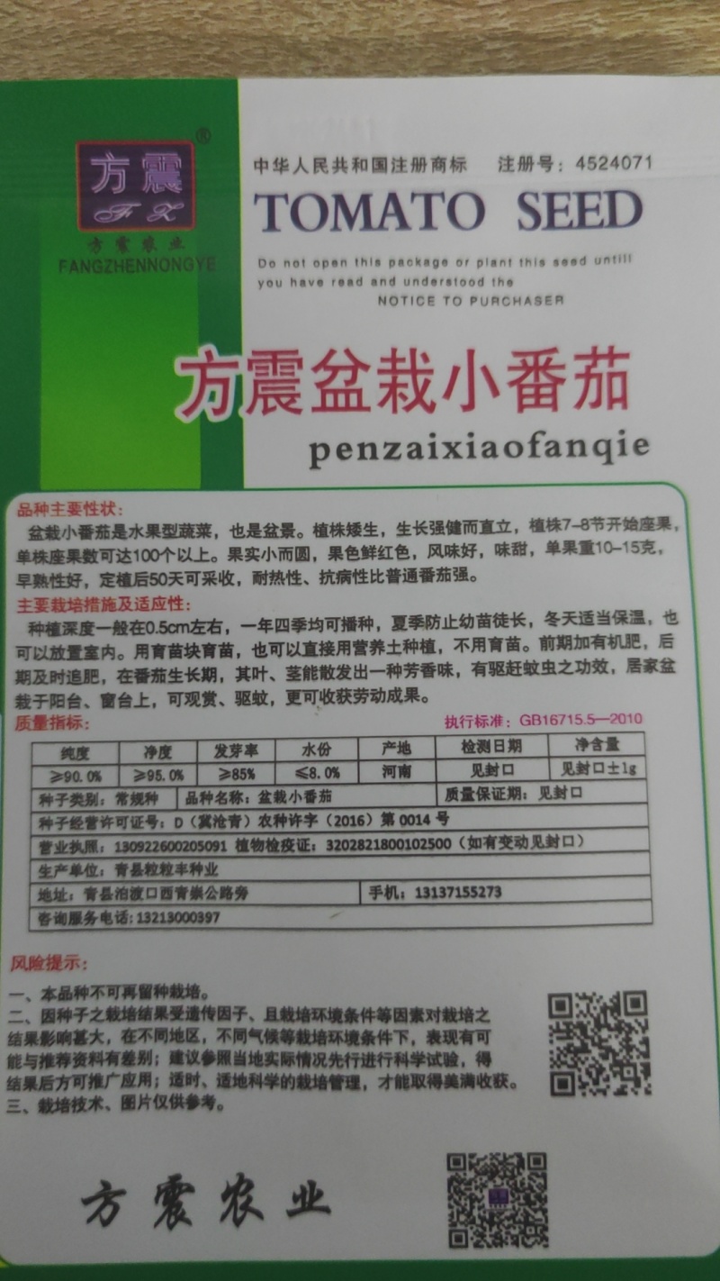 四季盆栽矮生番茄种樱桃小番茄种子西红柿种子四季阳台圣女果