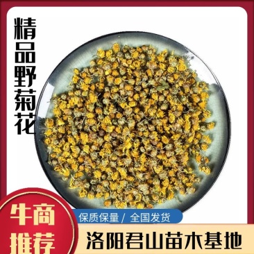 中药材野菊花干货供应，货源充足，物美价廉欢迎采购