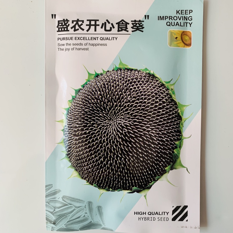 【籽大壳薄】大型食用向日葵种子高产瓜子种子大粒葵花籽阳台