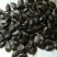 湖南大九香虫无硫无添加基地直发品质保证量大从优