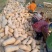 【精品推广】湖北公安县蜜本南瓜种植产地价格稳定全国发货