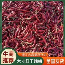 精品干辣椒大量供应望都椒（六寸红）干辣椒，产地直供欢迎电联