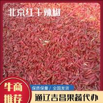 北京红干辣椒9成干以上精品货源量大一手货源量
