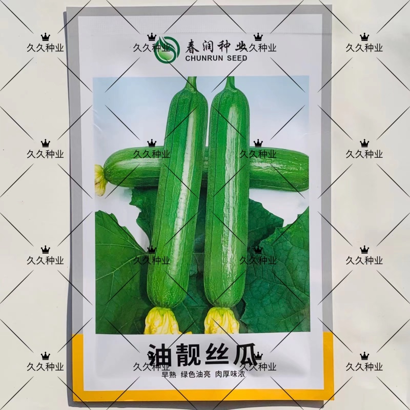 油靓丝瓜种子油皮丝瓜短棒油亮丝瓜种籽肉厚味浓一代杂交水瓜
