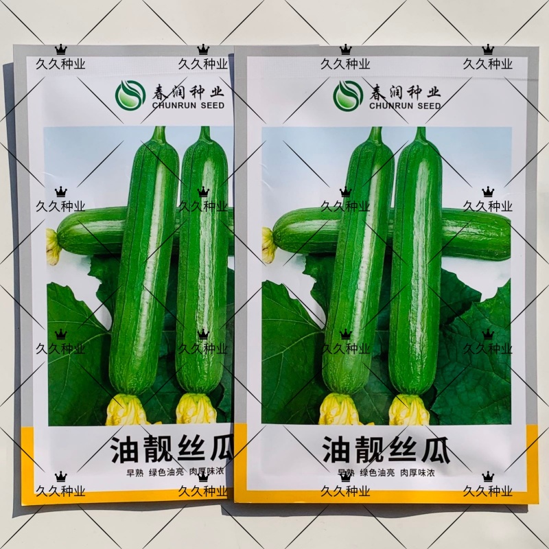 油靓丝瓜种子油皮丝瓜短棒油亮丝瓜种籽肉厚味浓一代杂交水瓜