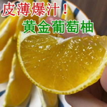 台湾葡萄柚无核纯甜皮薄汁水多无渣自产柚苗批发