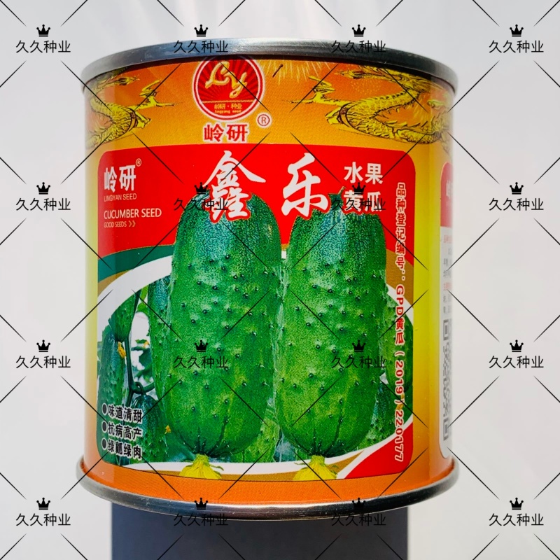 鑫乐水果黄瓜种子强雌性清甜口感好绿瓤绿肉高产旱小黄瓜种籽