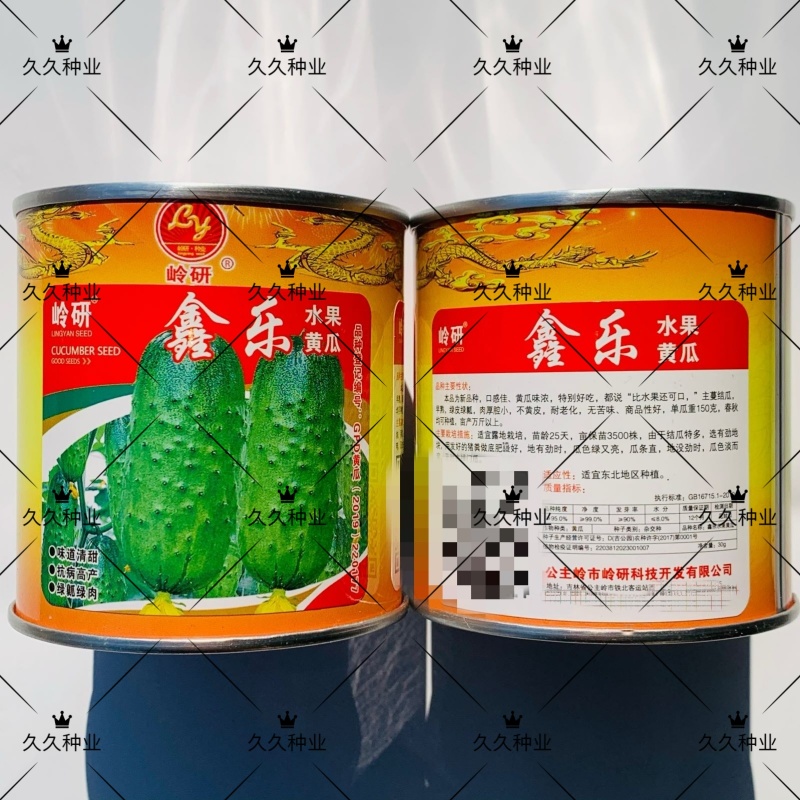鑫乐水果黄瓜种子强雌性清甜口感好绿瓤绿肉高产旱小黄瓜种籽