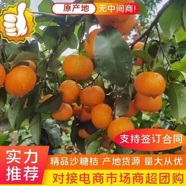 广西正宗砂糖橘产地直发一手货源电商市场商超