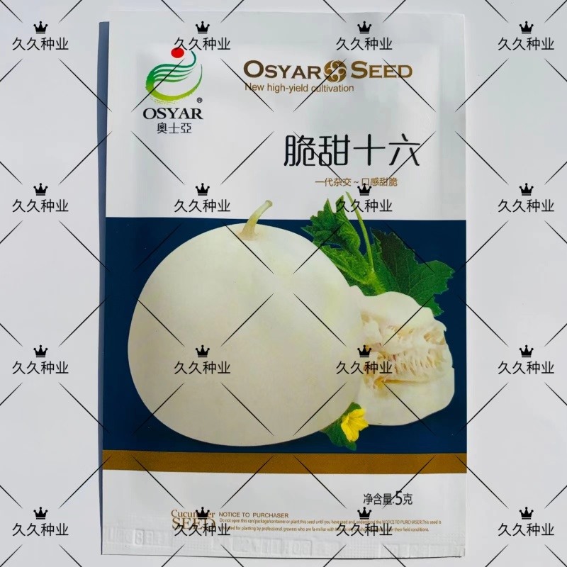 脆甜十六甜瓜种子杂交种极早熟耐低温薄皮耐贮耐运糖度18以