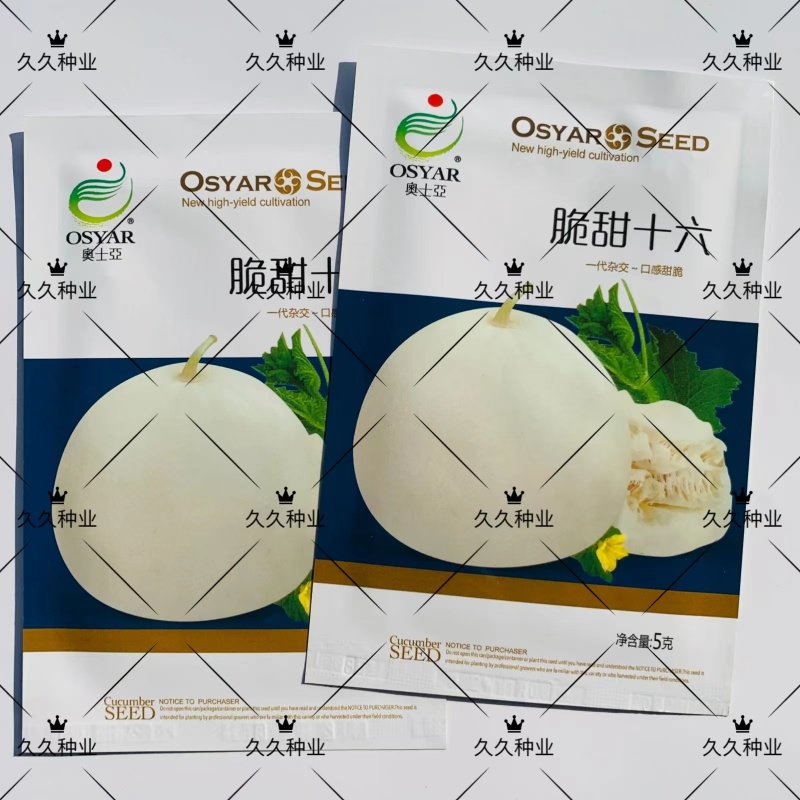 脆甜十六甜瓜种子杂交种极早熟耐低温薄皮耐贮耐运糖度18以