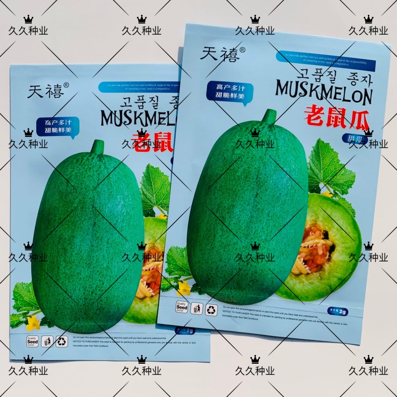 天禧老鼠瓜香瓜种子雪梨瓜甜瓜种孑香瓜种籽味甜多汁含糖高