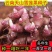 雪莲果种子,雪莲果种球,雪莲果苗,带芽发货,10斤包邮