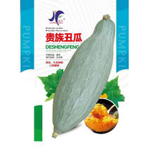 贵族南瓜种子丑瓜甜度高口感糯性强30粒袋春秋种植