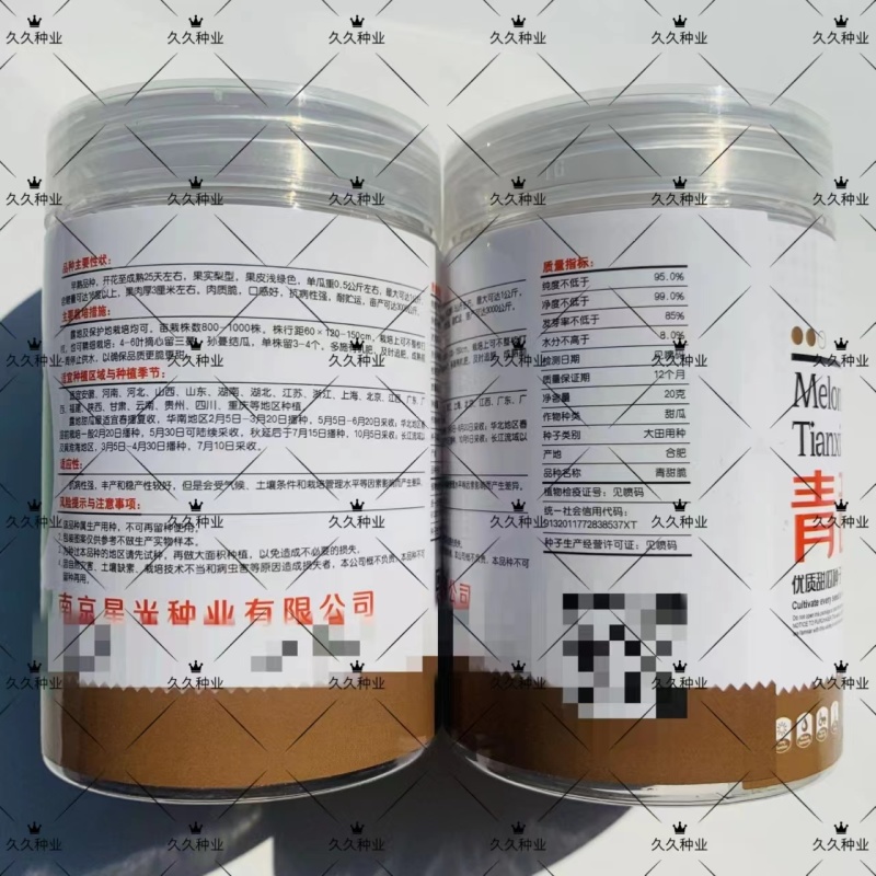 天禧青甜脆甜瓜种子早熟薄皮口感好高产抗病商品性佳农家春夏