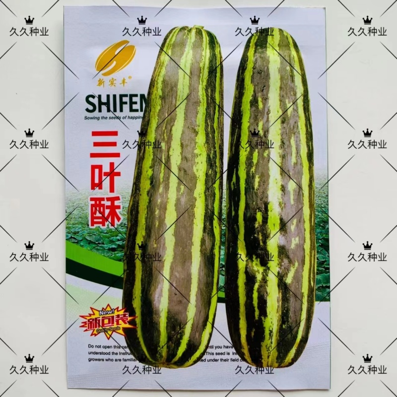 三叶酥甜瓜种子超甜薄皮酥香脆爽多汁甜掉牙四季播盆栽水果种