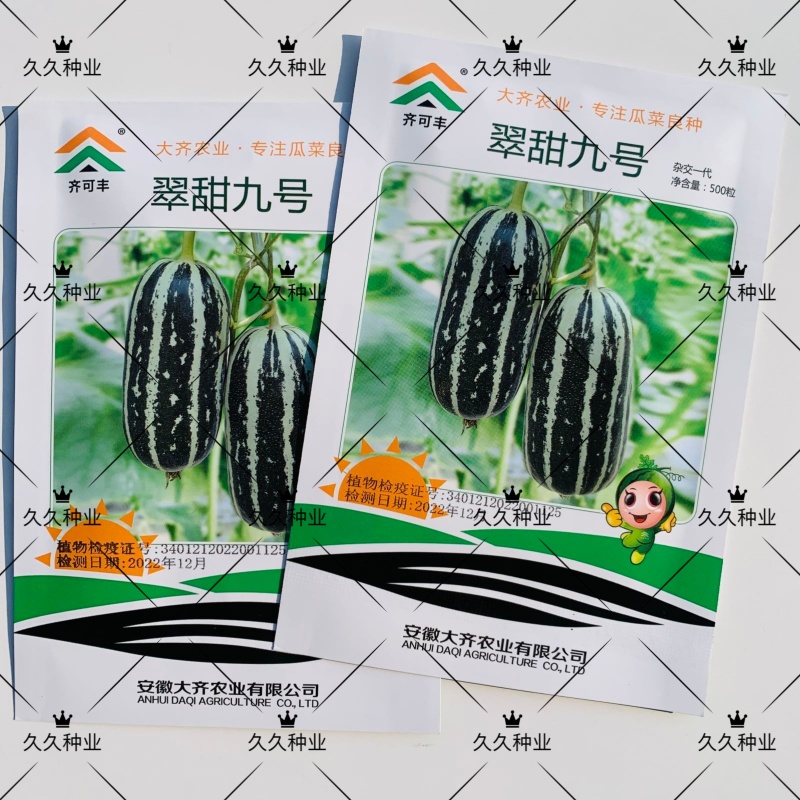 翠甜九号甜瓜种子薄皮杂交早熟高糖甜瓜种子丰产抗病发芽率高