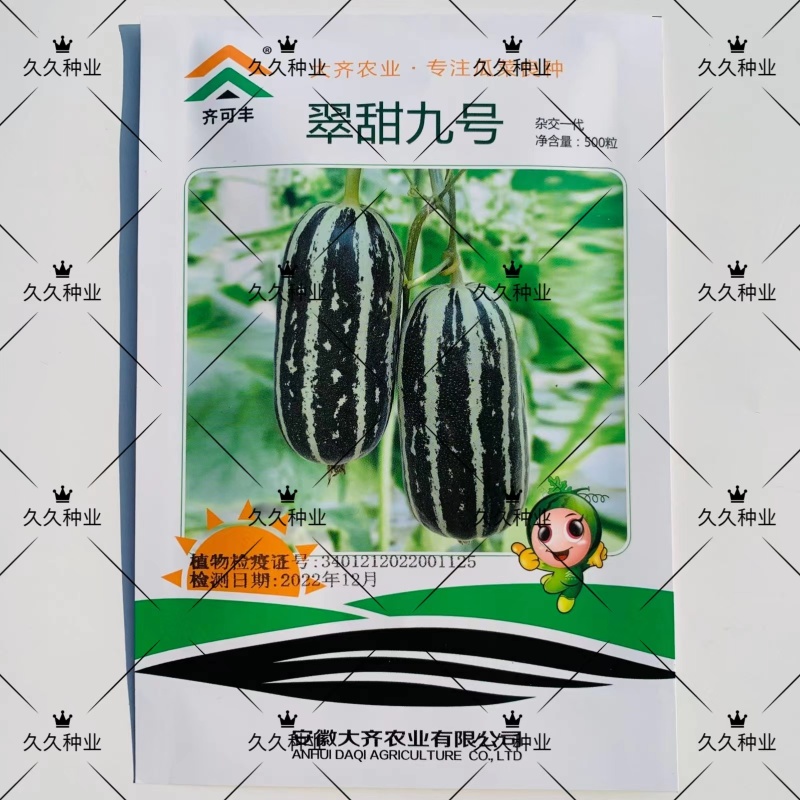 翠甜九号甜瓜种子薄皮杂交早熟高糖甜瓜种子丰产抗病发芽率高