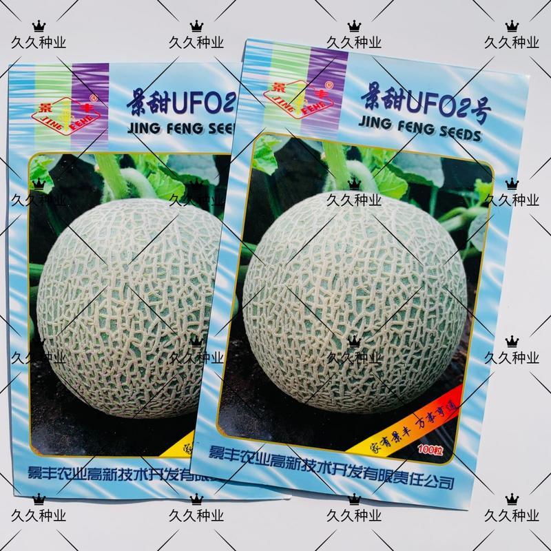 景甜UFO2号甜瓜种子孑网纹哈密瓜甘甜香脆伽师瓜种籽高产