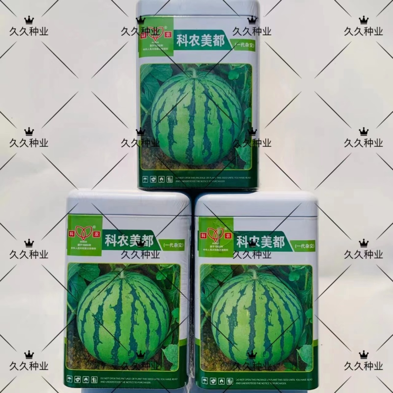 科农美都西瓜种子早中熟西瓜种子大红瓤甜而多汁美都西瓜种子