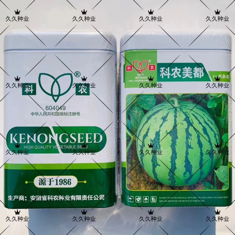 科农美都西瓜种子早中熟西瓜种子大红瓤甜而多汁美都西瓜种子