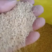 陕西优质黄小米自家种植产地直发量大从优欢迎选购