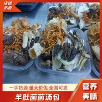【优选】贵州菌汤包营养丰富味道鲜量大从优欢迎老板来电
