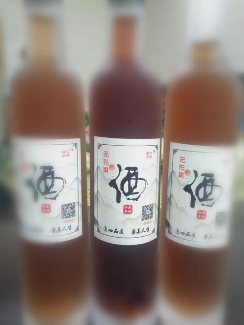 成都无花果酒营养丰富风味代加工OME贴牌厂家直发品质保证
