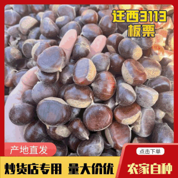 正宗3113鲜板栗深山好栗软糯香甜炒栗店专用产地直发