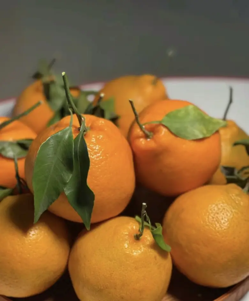 四川春见柑种植基地大量有货量大从优欢迎各位老板来电