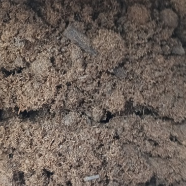 【精品营养土】产地直发货源充足量大从优欢迎选购