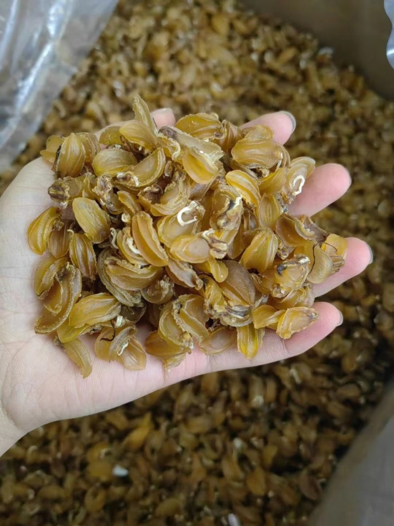 【精选】鲍鱼干1000头高泡发鲍鱼海鲜水产鲍鱼干煲汤