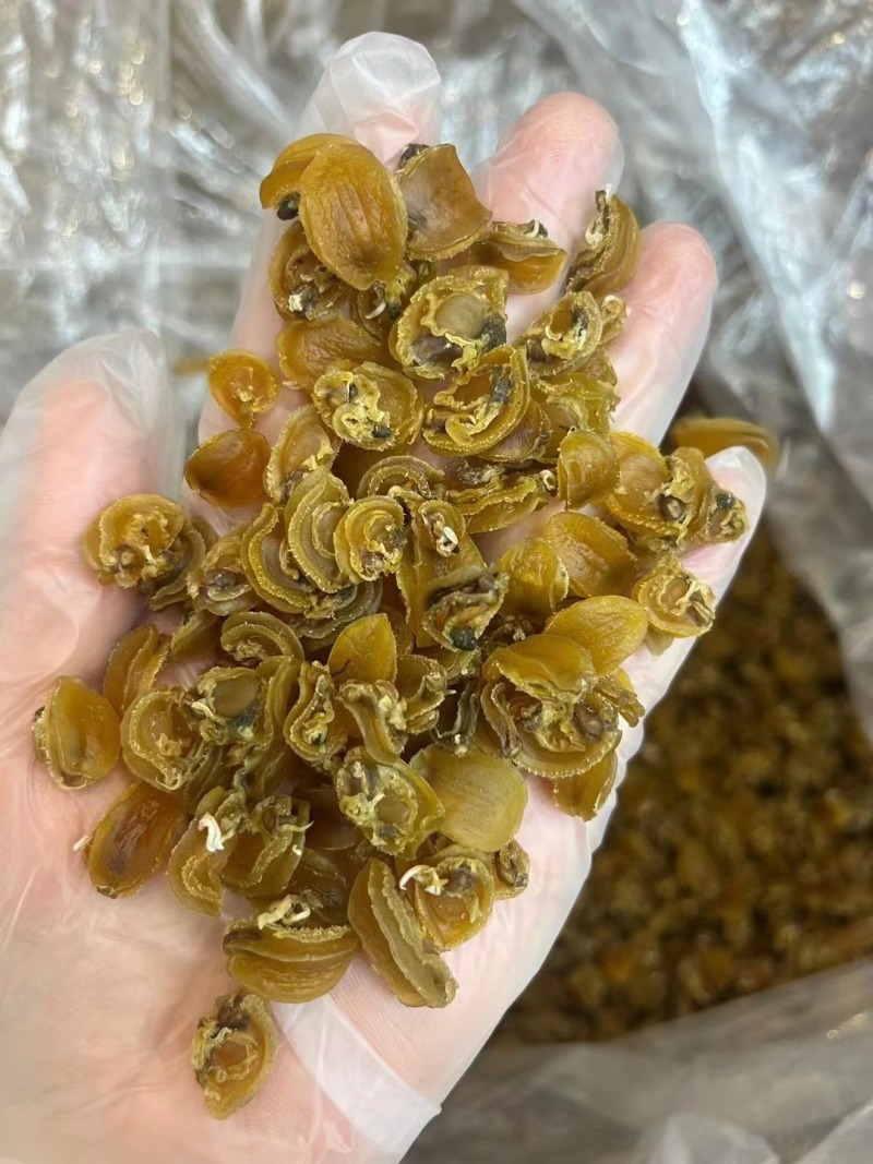 【精选】鲍鱼干1000头高泡发鲍鱼海鲜水产鲍鱼干煲汤