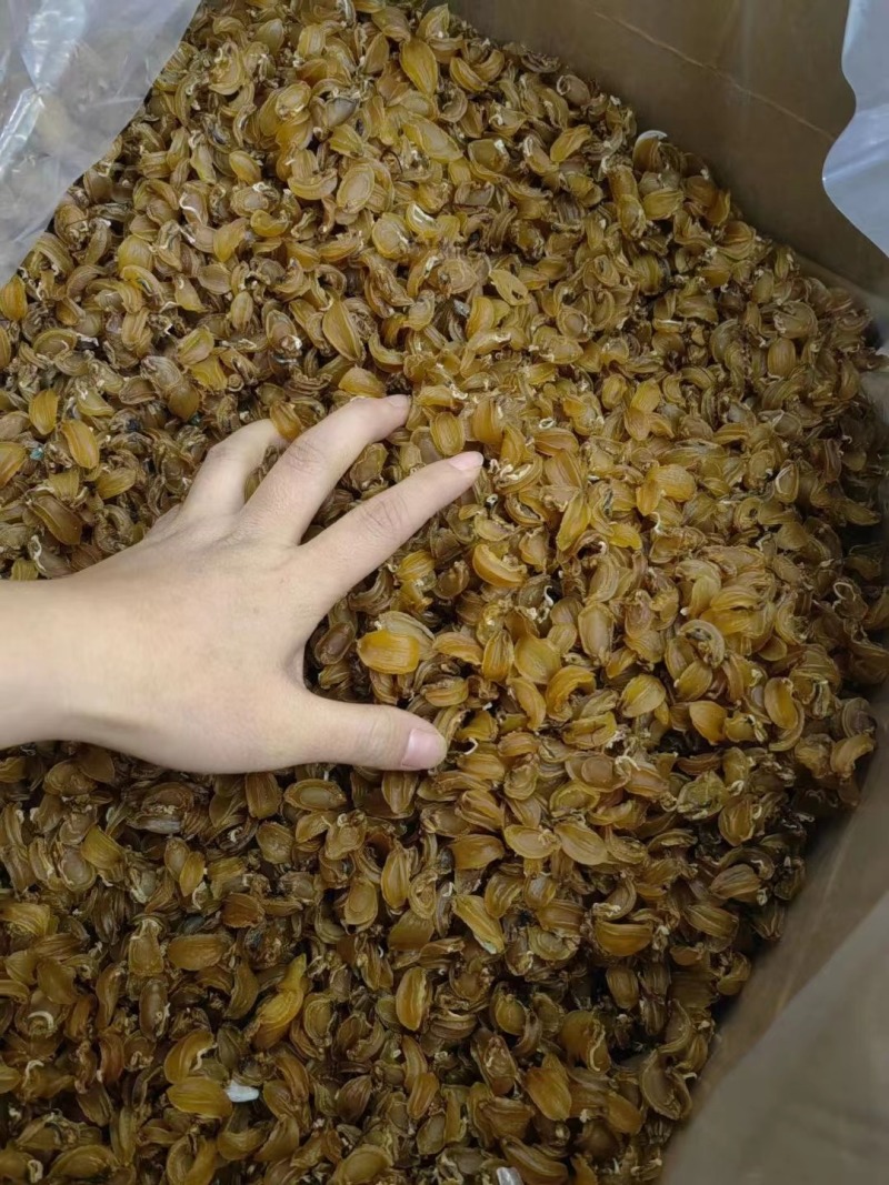 【精选】鲍鱼干1000头高泡发鲍鱼海鲜水产鲍鱼干煲汤