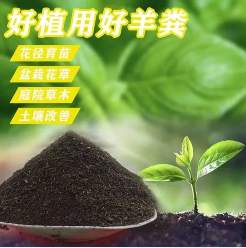 发酵羊粪肥有机肥高温腐熟发酵不烧根苗苹果梨樱桃用肥