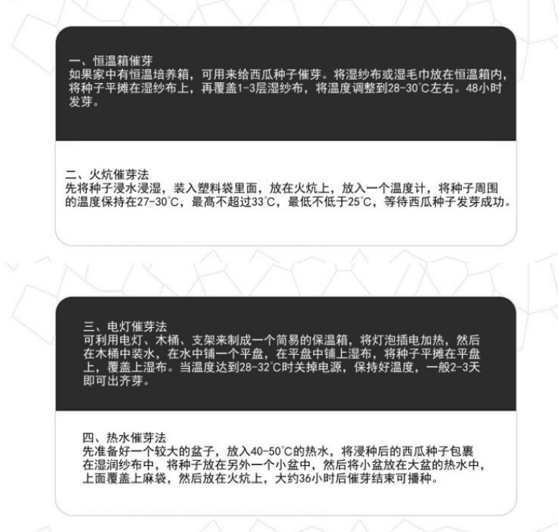 8424麒麟少籽西瓜种子无籽特大高产巨型甜王南方四季蔬菜