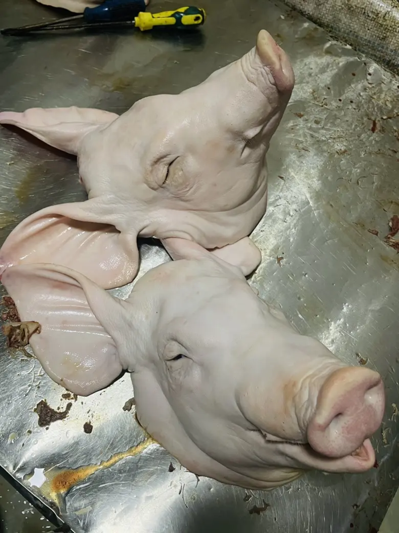 猪头肉工厂直发品质保障货源稳定欢迎咨询可视频看货
