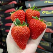 丹东东港红颜草莓，精品货，欢迎各地客商前来选购