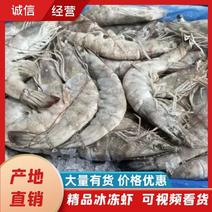 产地直发精品优选冰冻虾可持续大量供货价格欢迎咨询