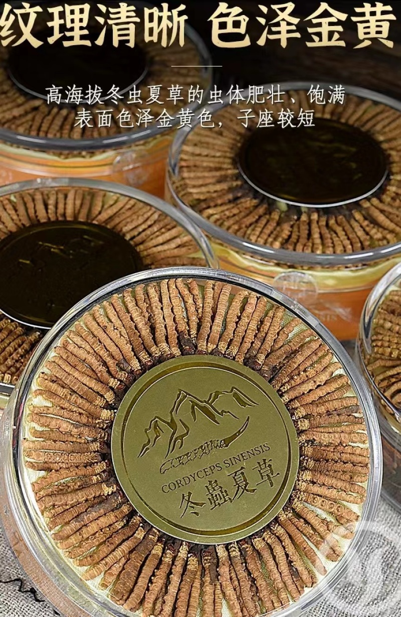 【优选】冬虫夏草多规格虫草，西藏那曲冬虫夏草盒装